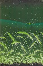 Black Swan Green by David  Mitchell